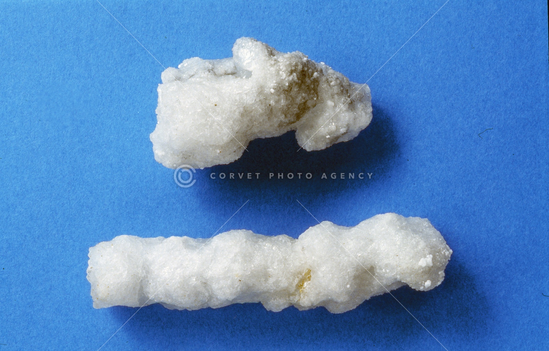 集英社 - 岩塩 岩塩（粗目）ドイツ産 / 500g | 塩とスパイス,塩,岩塩 | 通販