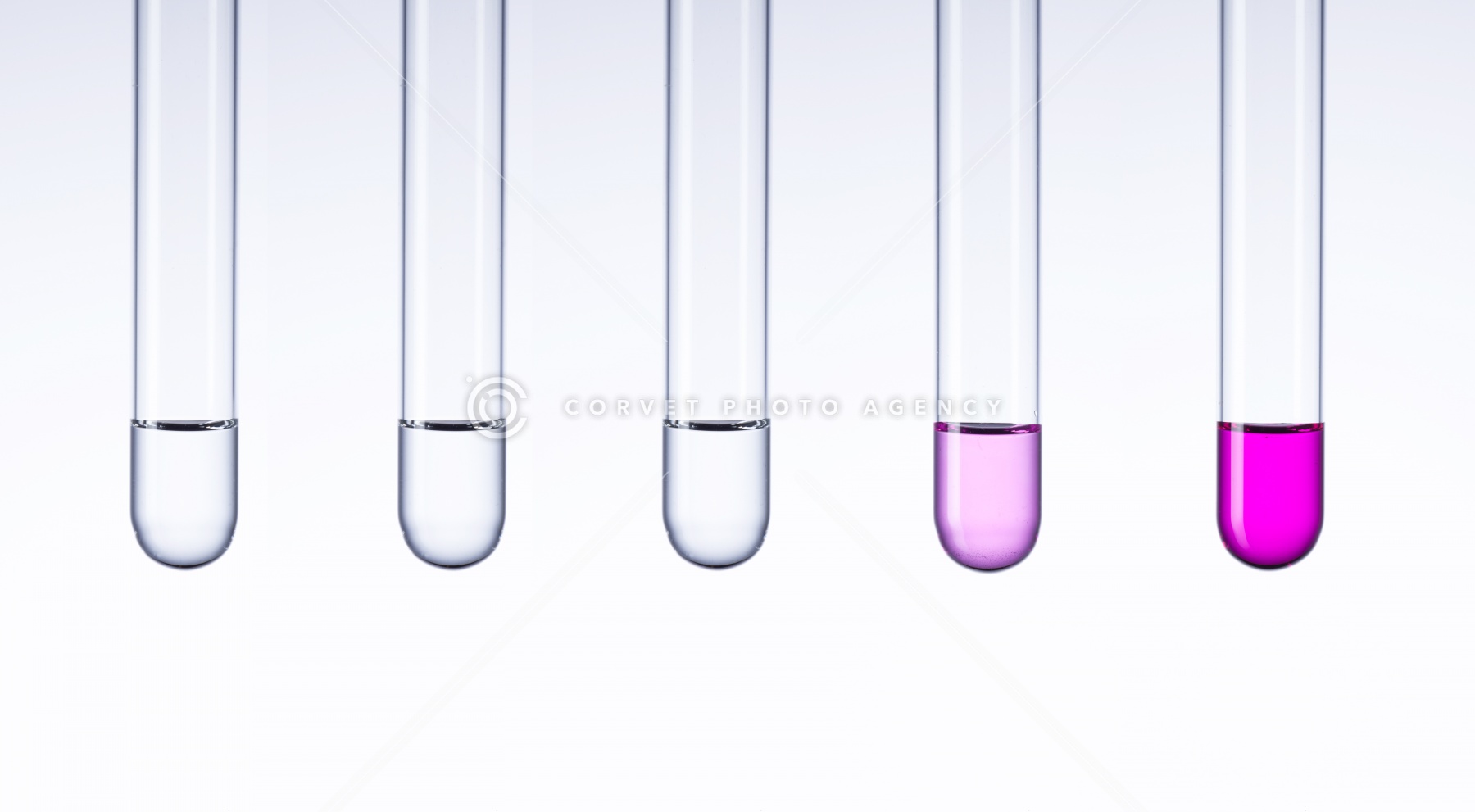 フェノールフタレイン溶液の呈色反応