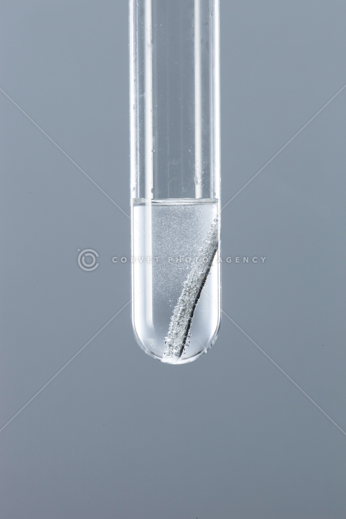 ☆あページ☆ cos013306.jpg