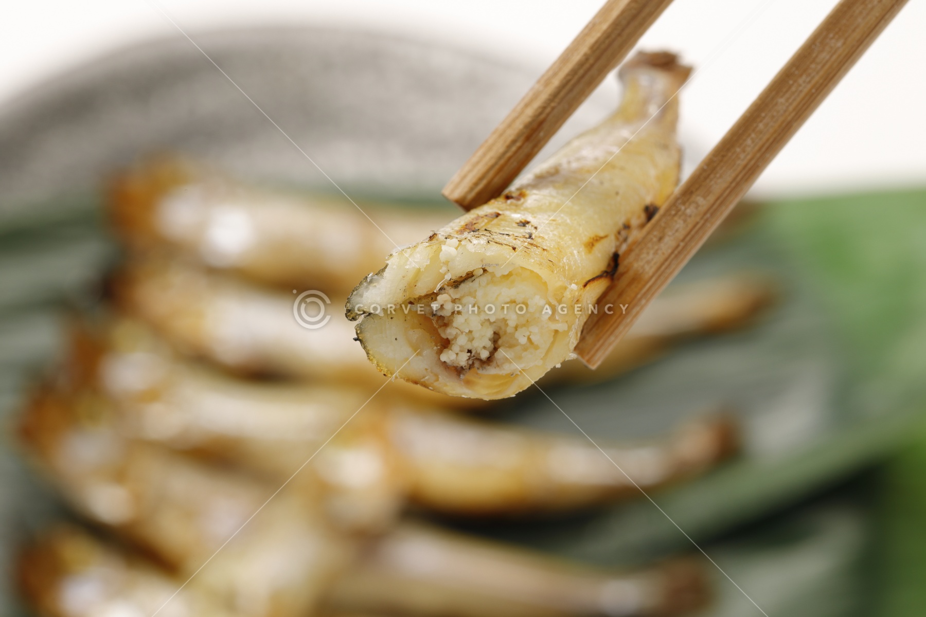 ししゃもページ cos053076.jpg