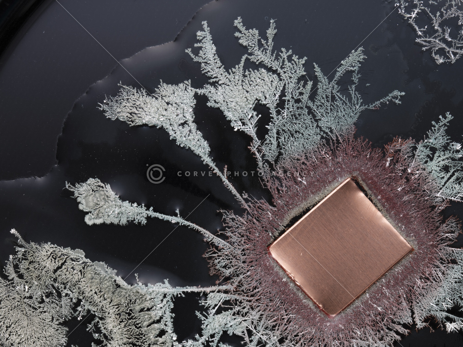 Corvet Photo Agency