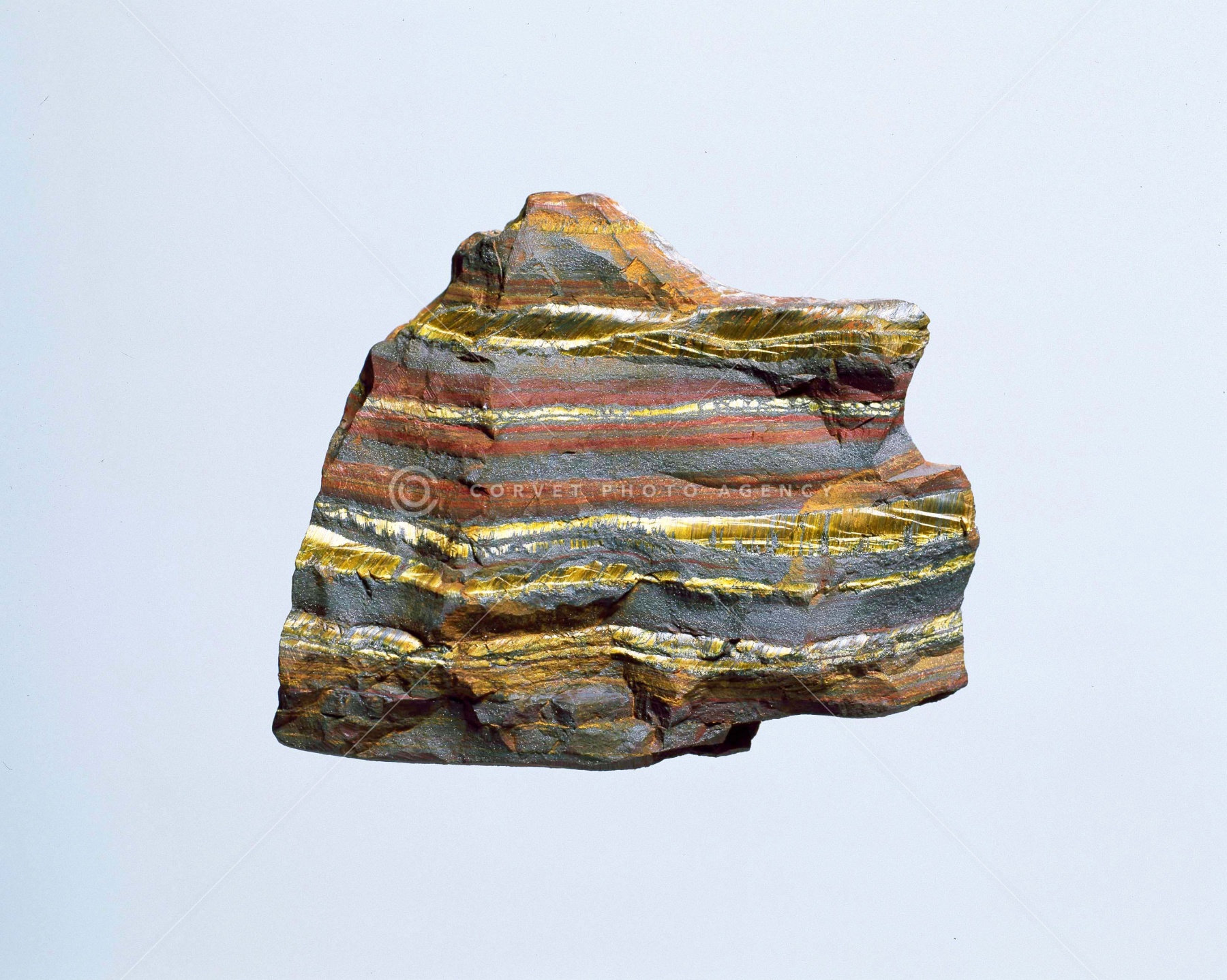 hib014252.jpg