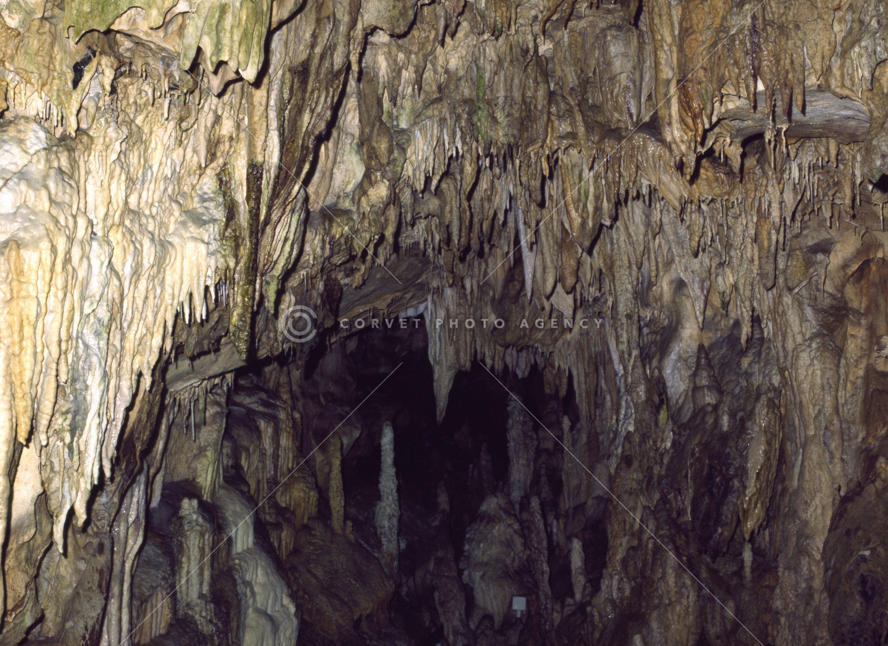 hib023051.jpg