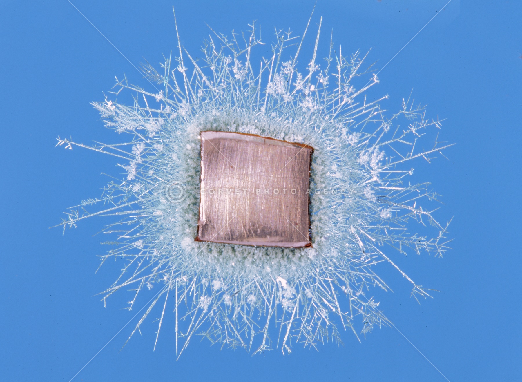 Corvet Photo Agency