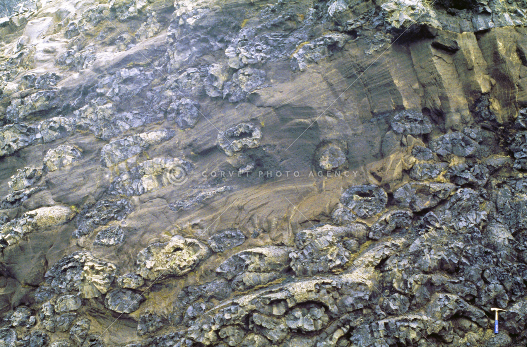 レイキャネス半島 枕状溶岩