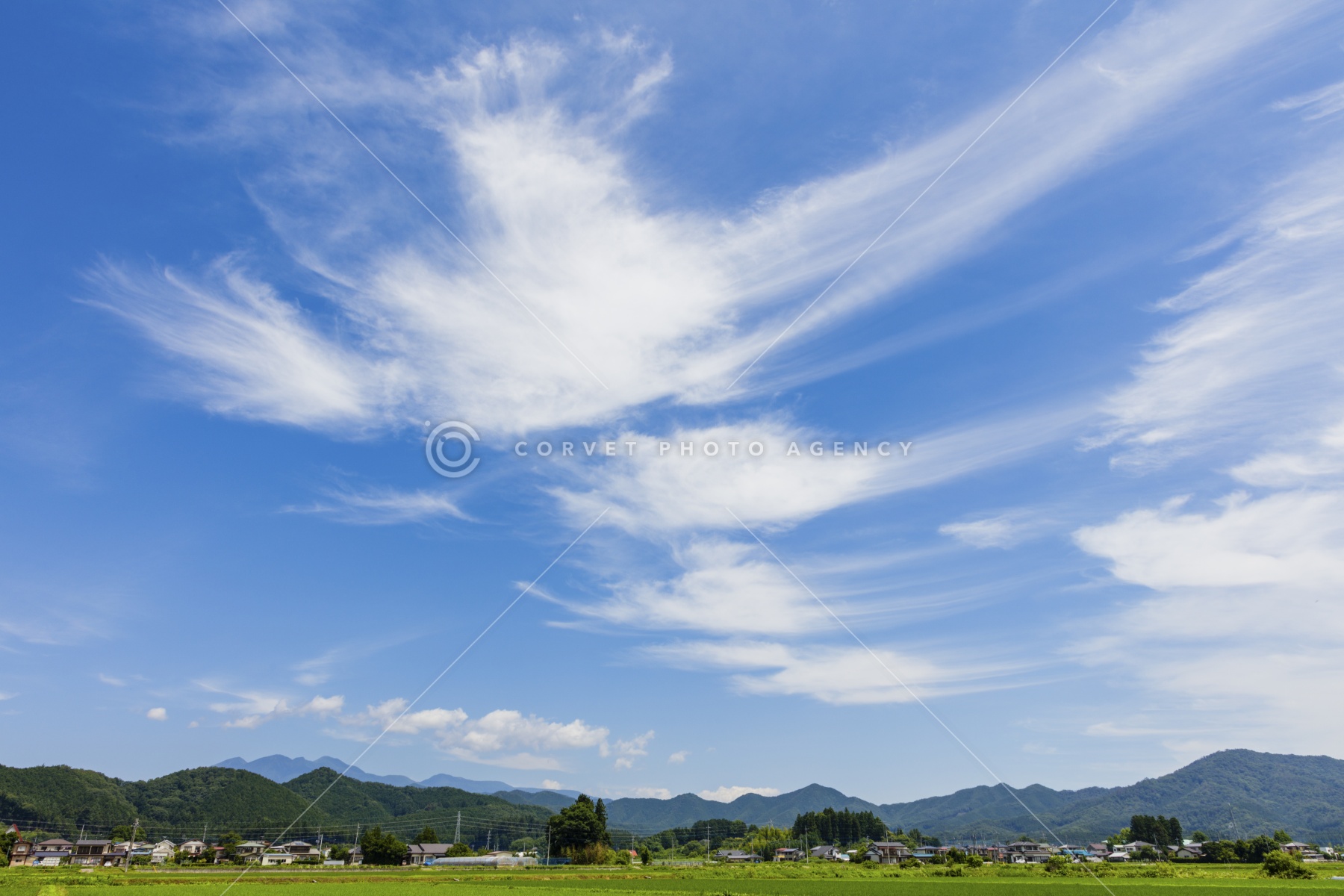 巻き雲 雲の十種雲形
