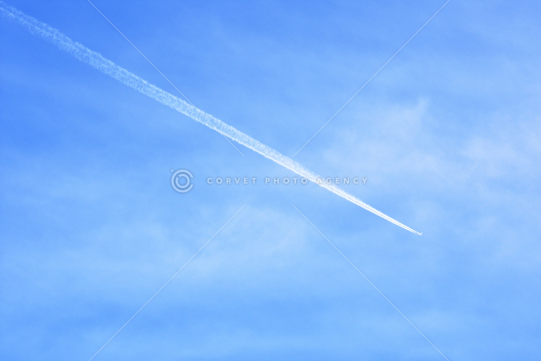 stb035819.jpg