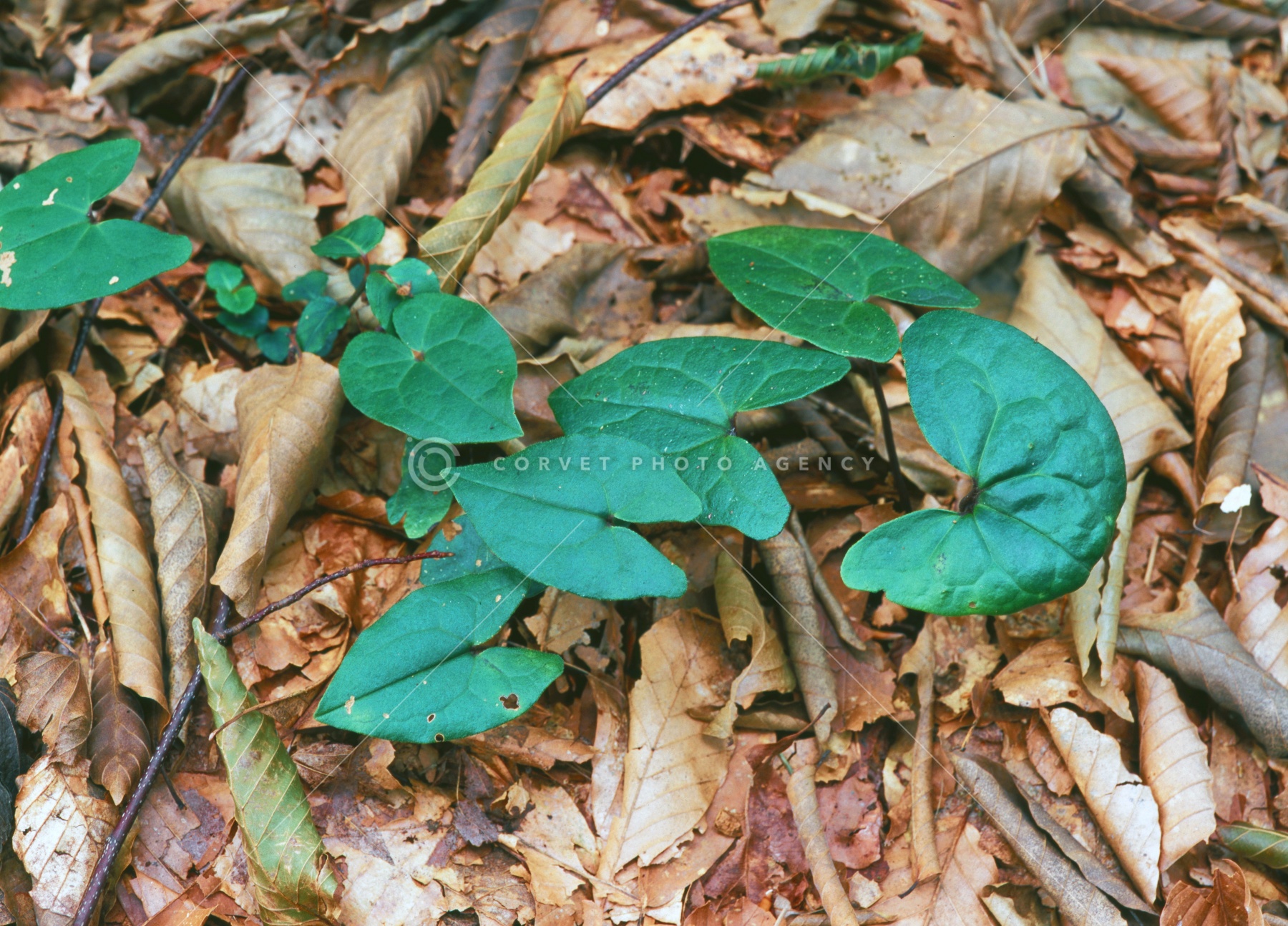 tka034596.jpg