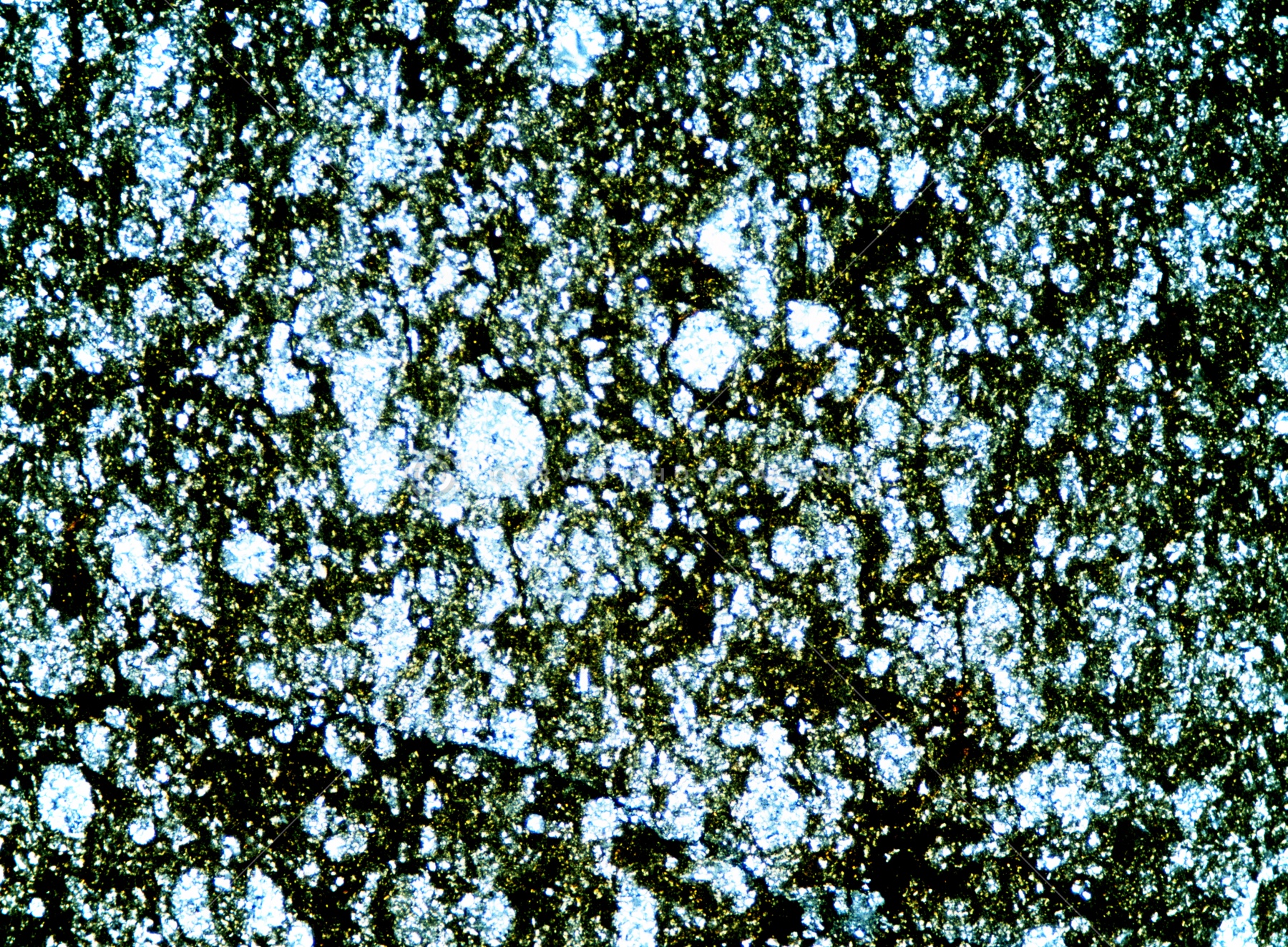yta011984.jpg