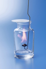 2011/07 砂糖 | Corvet Photo Agency