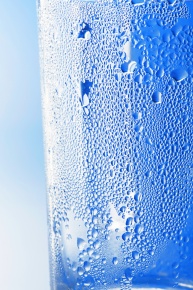 コップ Corvet Photo Agency