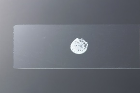 物質 結晶 硫酸 硫酸銅 | Corvet Photo Agency