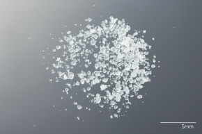 切り株除去剤の材料 Corvet Photo Agency