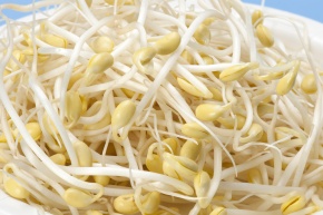 簡単で思い立ったらすぐできる、”もやしが主役”のメイン料理3つ