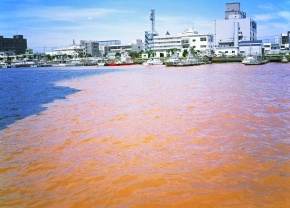 水質汚染 Corvet Photo Agency