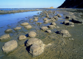 ノジュール | Corvet Photo Agency