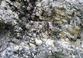 ペグマタイト | Corvet Photo Agency