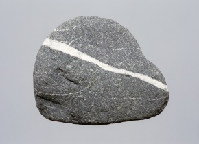 hib029766s_b2.jpg