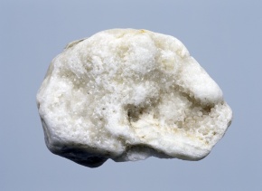 菖蒲 | Corvet Photo Agency