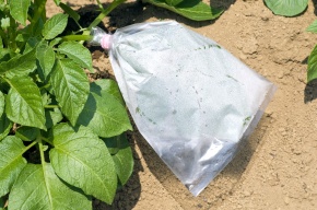 蒸散実験 Corvet Photo Agency