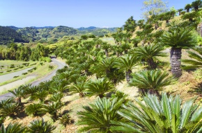 Selection Corvet Photo Agency