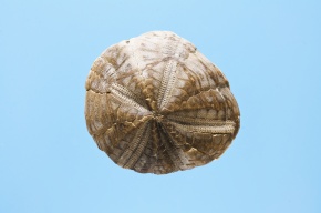 新第三世紀 | Corvet Photo Agency