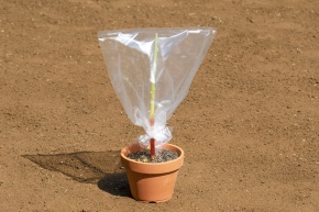 蒸散実験 Corvet Photo Agency