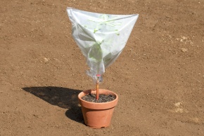 蒸散実験 Corvet Photo Agency