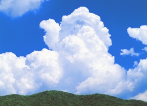 雲雲雲の下 RATface-綿雲[抽選販売終了しました] | temporary shop KUMO