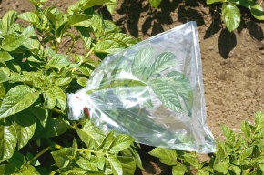 蒸散 Corvet Photo Agency