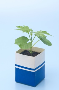 牛乳パック Corvet Photo Agency