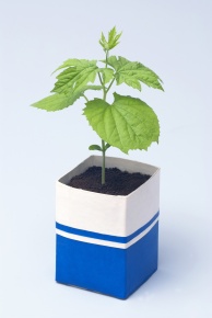 牛乳パック Corvet Photo Agency