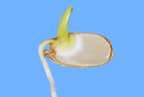 hka900021s_b2.jpg