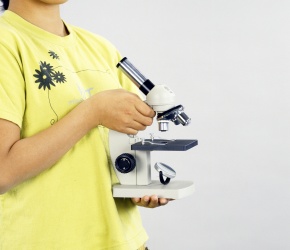 観察セット SAFETY ゴーグル SPECTRUM bolle 通気孔付き ゴーグル 【通販