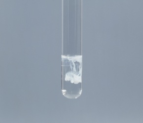 銀 硝酸銀 食塩水 Corvet Photo Agency
