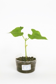 kta020811s_b2.jpg