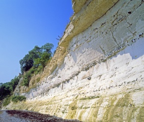 第三紀 | Corvet Photo Agency