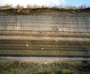 本 火山灰と土壌 Volcanic Ash and Soil