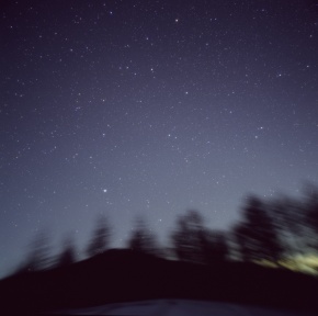 山羊 | Corvet Photo Agency