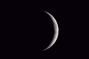 nsa000393s_b2.jpg