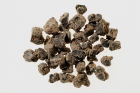 Biotite | Corvet Photo Agency