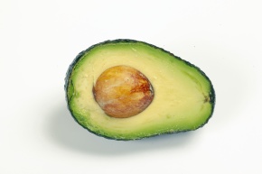 ワニナシ属 Corvet Photo Agency