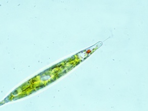 yta001374s_b2.jpg