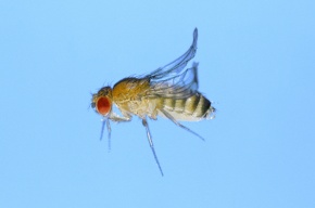 yta010245s_b2.jpg