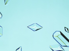 物質 結晶 硫酸 硫酸銅 | Corvet Photo Agency