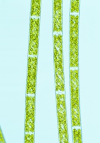 yta015682s_b2.jpg