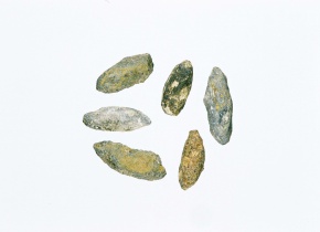 古生物 | Corvet Photo Agency
