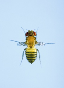 yta610228s_b2.jpg